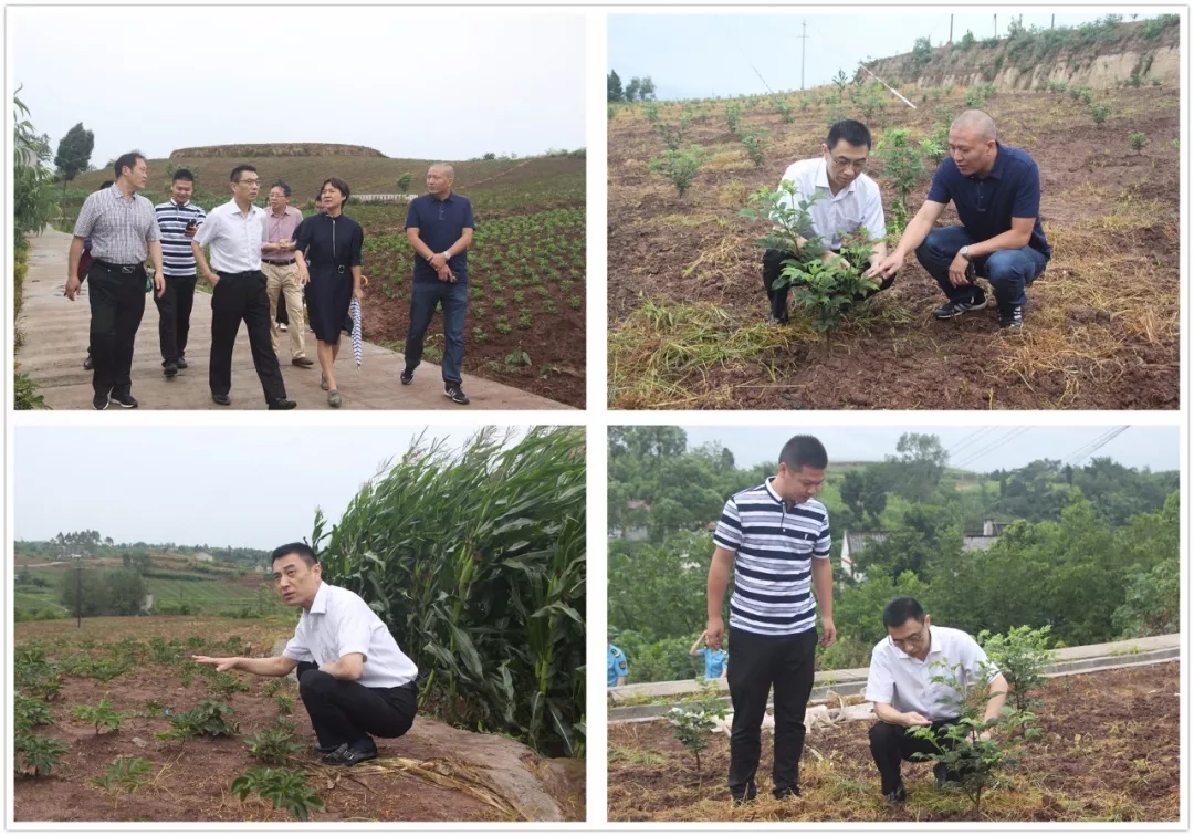 11.webp.jpg 11.webp.jpg